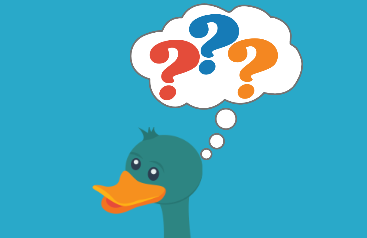 Killian the Duck with 3 Question Marks